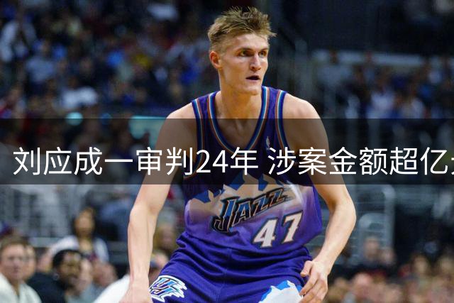 刘应成一审判24年 涉案金额超亿元