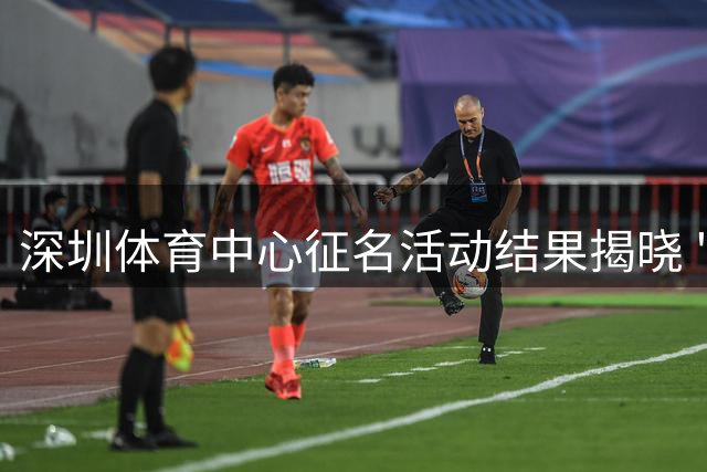 深圳体育中心征名活动结果揭晓 "新深体"获奖引热议